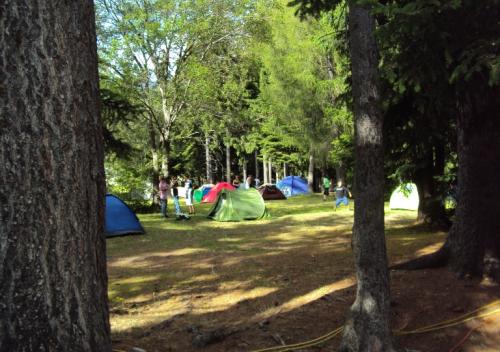 dsc00518_20170610_1840867461