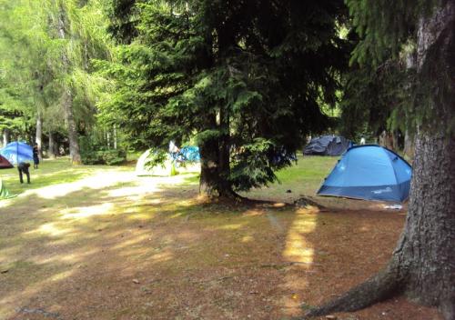 dsc00519_20170610_1828295421