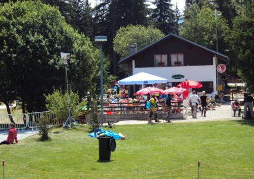 dsc00569_20170610_2070716890