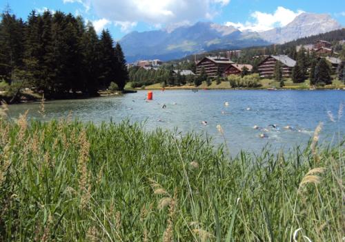 dsc00605_20170610_1344310713