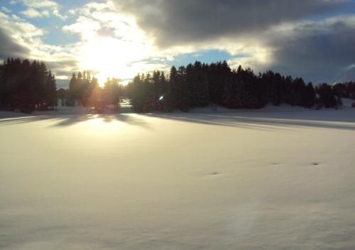 dsc00856_20170610_1394008684