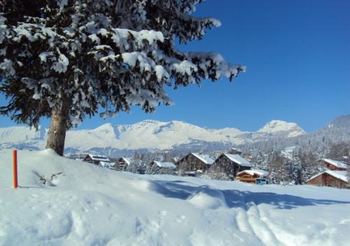 dsc00966_20170610_1823407569