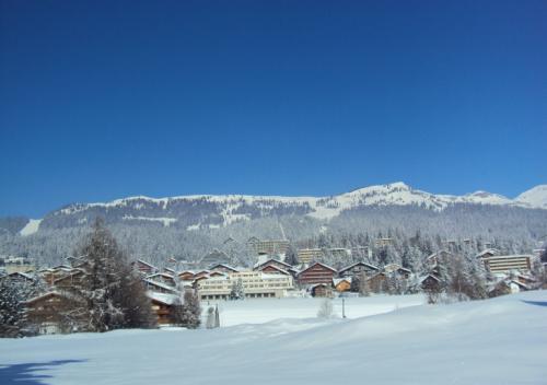 dsc00967_20170610_1107651997