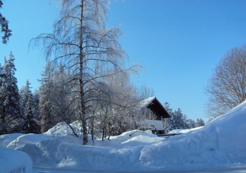 dsc00973_20170610_1491390008