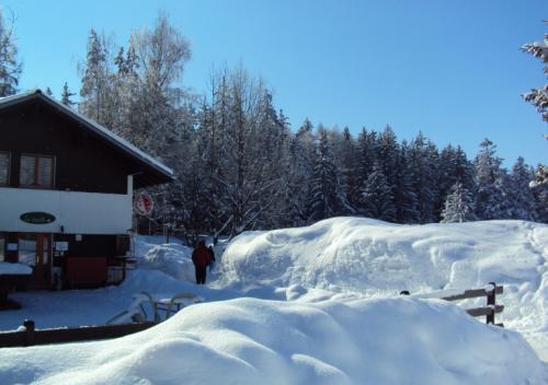 dsc00975_20170610_2074153955