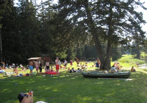 img_0174_20170610_1955223615